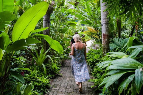 Cairns City Sights And Surrounds Tour - Palm Beach Accommodation 2