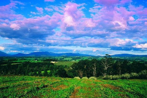 CHEVY CONVERTIBLE Package For 4 -Wine Lunch Cheese & Chocolate From Yarra Valley - Palm Beach Accommodation 4