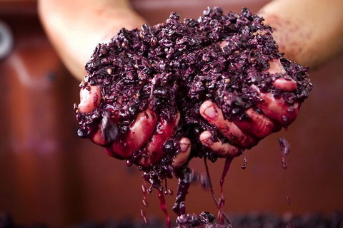 CHEVY CONVERTIBLE Package For 4 -Wine Lunch Cheese & Chocolate From Yarra Valley - Palm Beach Accommodation 5