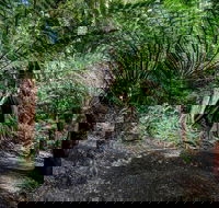 Adelaide to Melbourne 3-Day Trip through Grampians and Great Ocean Road - Palm Beach Accommodation