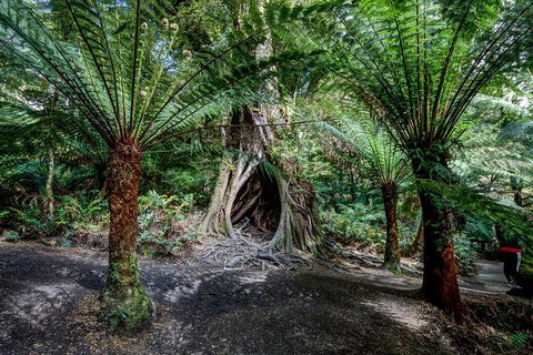 Adelaide To Melbourne 3-Day Trip Through Grampians And Great Ocean Road - Palm Beach Accommodation 0