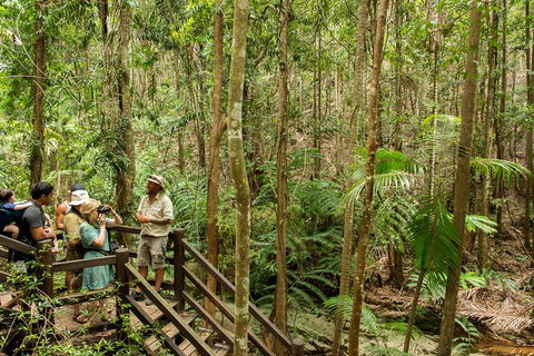 Fraser Explorer K'gari 2-Day Tour - Palm Beach Accommodation 5