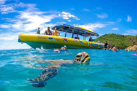 Great Barrier Reef Scenic Flight And Ocean Rafting Whitehaven Beach Day Trip - Palm Beach Accommodation 1