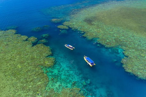 Great Barrier Reef Scenic Flight And Ocean Rafting Whitehaven Beach Day Trip - Palm Beach Accommodation 4
