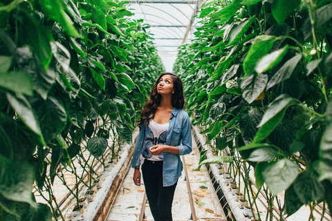 Yarra Valley Local Produce And Wine Tasting Tour - Palm Beach Accommodation 0