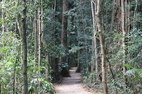 Eumundi Markets And Sunshine Coast Day Trip From Brisbane - Palm Beach Accommodation 4