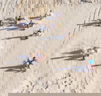 Unlimited Sandboarding - Palm Beach Accommodation