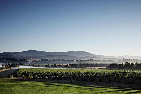 Chauffeur Driven Yarra Valley Group Wine Tour - Up To 7 - Palm Beach Accommodation 2