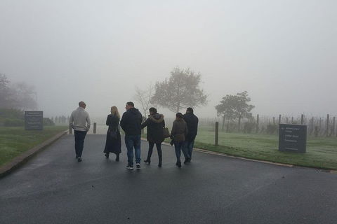 Chauffeur Driven Yarra Valley Group Wine Tour - Up To 7 - Palm Beach Accommodation 4