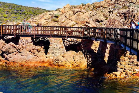 Margaret River (Private) Day Tour - Palm Beach Accommodation 3