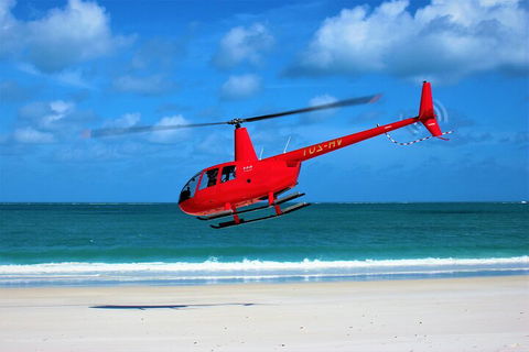 Fly & Cruise - Heli Package - Palm Beach Accommodation 5