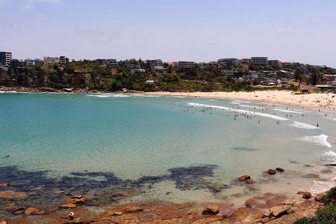 Half Day Manly Beach And More - Palm Beach Accommodation 2