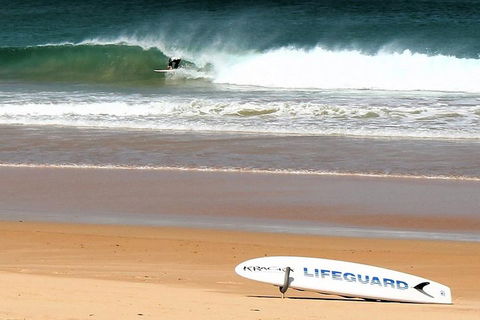 Half Day Manly Beach And More - Palm Beach Accommodation 5