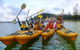 Half-Day Sydney Middle Harbour Guided Kayaking Eco Tour - thumb 2