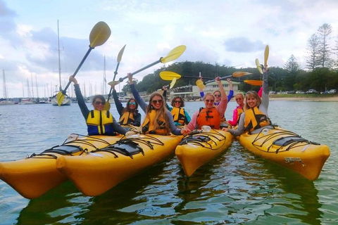 Half-Day Sydney Middle Harbour Guided Kayaking Eco Tour - Palm Beach Accommodation 2