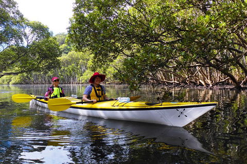 Half-Day Sydney Middle Harbour Guided Kayaking Eco Tour - Palm Beach Accommodation 3