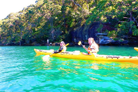 Half-Day Sydney Middle Harbour Guided Kayaking Eco Tour - Palm Beach Accommodation 4