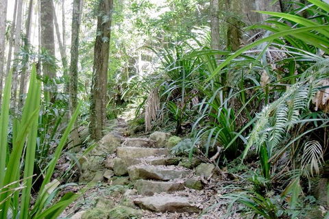 Byron Bay Combo: Minyon Falls And Hinterland Day Trip And Learn To Surf At Byron Bay - Palm Beach Accommodation 3