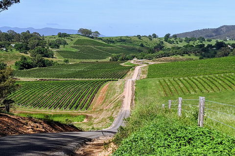 The Complete Hunter Valley Wine Tour Of Pokolbin, Mt View, Lovedale And Rothbury - Palm Beach Accommodation 0