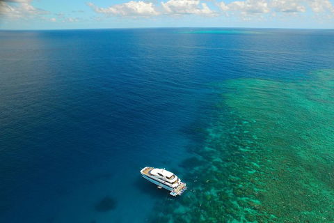 Great Barrier Reef Snorkeling And Diving Cruise From Cairns - Palm Beach Accommodation 4