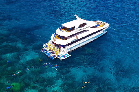 Great Barrier Reef Snorkeling And Diving Cruise From Cairns - Palm Beach Accommodation 5