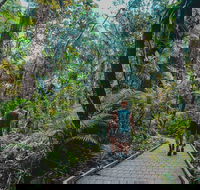 Full Day Cooktown Private Tour - Palm Beach Accommodation