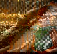 The Perth Mint Guided Heritage Tour and Gold Pour - Palm Beach Accommodation