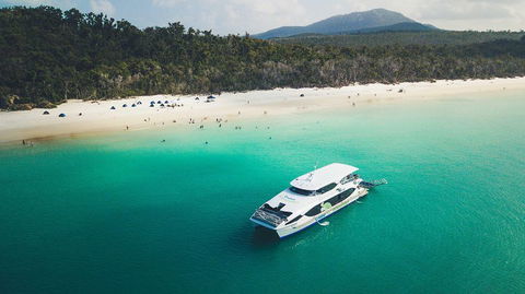 Whitehaven Beach And Daydream Island Cruise - Palm Beach Accommodation 1