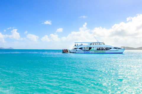 Whitehaven Beach And Daydream Island Cruise - Palm Beach Accommodation 2