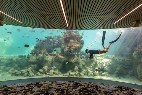 Whitehaven Beach And Daydream Island Cruise - Palm Beach Accommodation 4