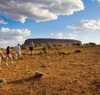 Mount Conner 4WD Small Group Tour from Ayers Rock including Dinner - Palm Beach Accommodation