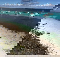 Experience Rottnest with Ferry  Bike Hire from Perth or Fremantle - Palm Beach Accommodation