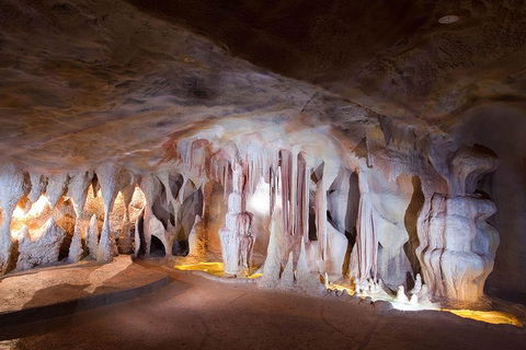 Springbrook AndTamborine Rainforest Tour Incl Natural Bridge And Glow Worm Cave - Palm Beach Accommodation 4