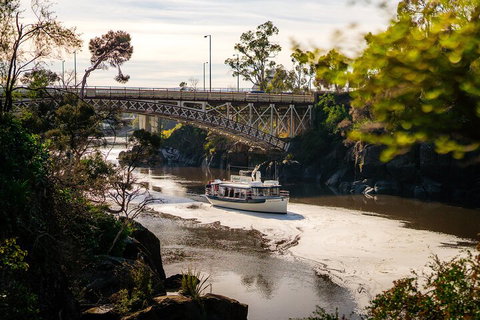 Cataract Gorge Cruise 11:30 Am - Palm Beach Accommodation 4