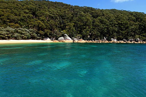 Wilsons Promontory Full Day Cruise - Palm Beach Accommodation 4