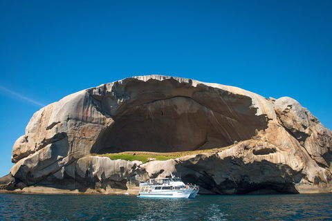 Wilsons Promontory Full Day Cruise - Palm Beach Accommodation 5