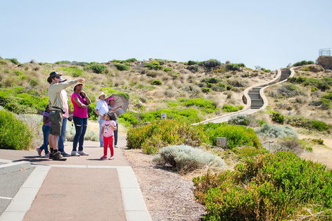 Margaret River Coastal And Wildlife Eco Trip From Busselton Or Dunsborough - Palm Beach Accommodation 0