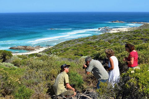 Margaret River Coastal And Wildlife Eco Trip From Busselton Or Dunsborough - Palm Beach Accommodation 2
