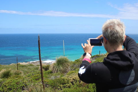 Margaret River Coastal And Wildlife Eco Trip From Busselton Or Dunsborough - Palm Beach Accommodation 3