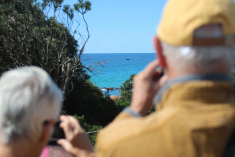 Margaret River Coastal And Wildlife Eco Trip From Busselton Or Dunsborough - Palm Beach Accommodation 5